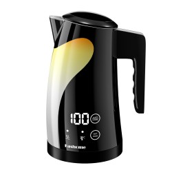 Electric Kettle